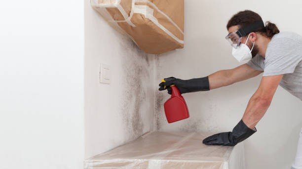 Professional Bathroom Mold Removal technician working in Aberdeen, MD