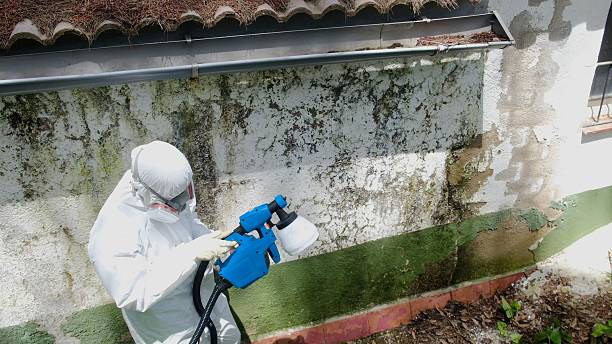 Top rated local Bathroom Mold Removal specialists in Aberdeen, MD